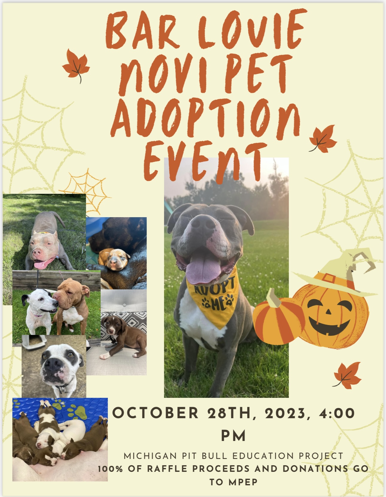 Bar Louie Novi Pet Adoption Event Twelve Mile Crossing at Fountain Walk